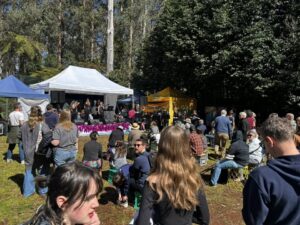 Colour picture of hilltop music festival. People sitting and standing in front of a stage with musicians performing. Forest behind stage. Sunshine. 